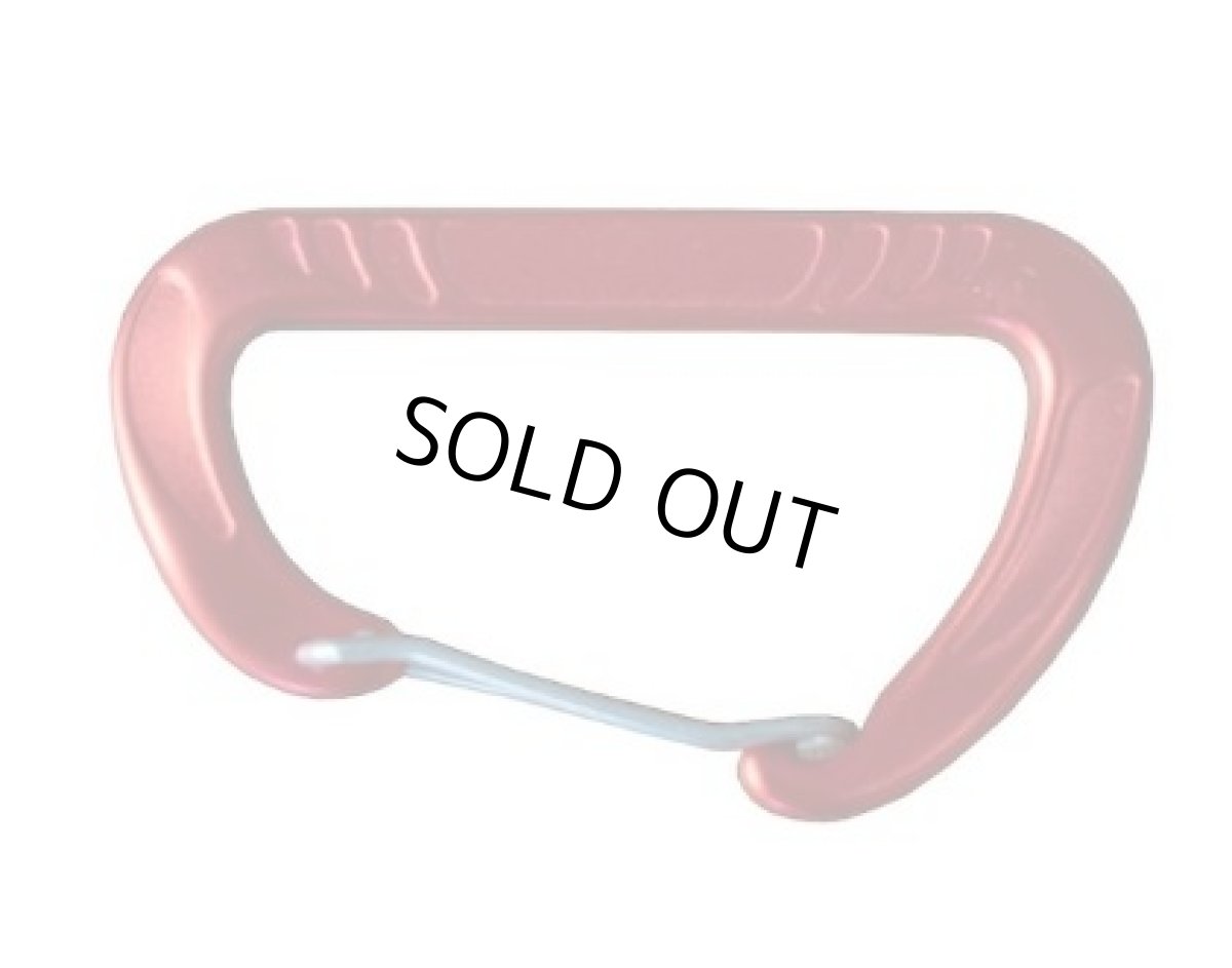 画像2: DIAMONDBACK カラビナ (2)