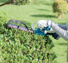 画像2: マキタ　18V充電式ミニ生垣バリカン　MUH267DWF　バッテリBL1830B・充電器DC18WC付 (2)